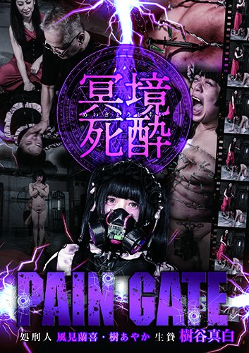 PAIN GATE 冥境死酔