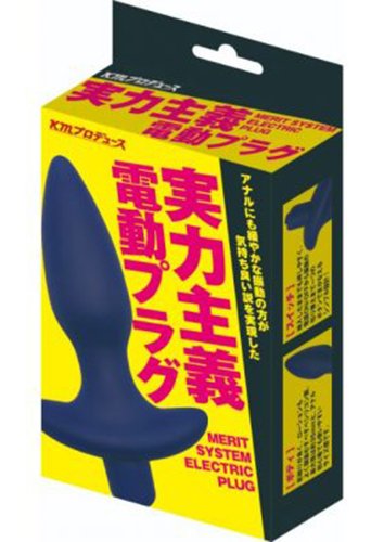 実力主義 電動プラグ